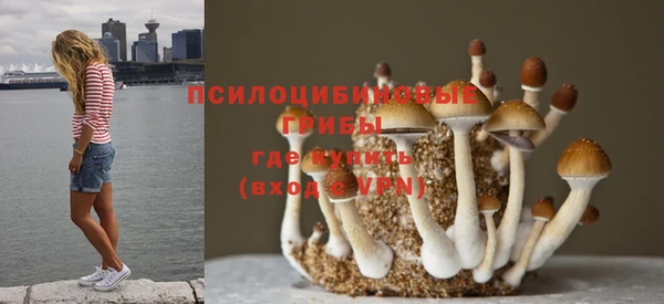 ECSTASY Семилуки
