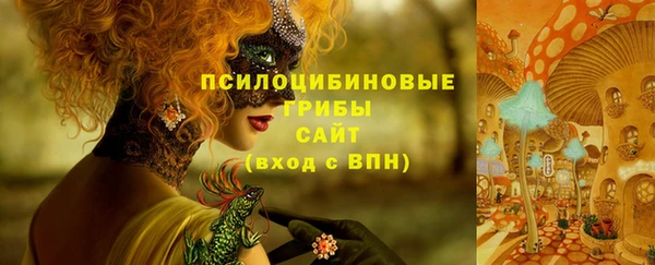 ПСИЛОЦИБИНОВЫЕ ГРИБЫ Балахна