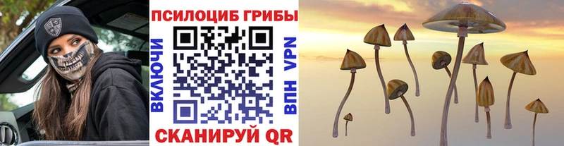 mega ONION  Соликамск  Псилоцибиновые грибы мухоморы 